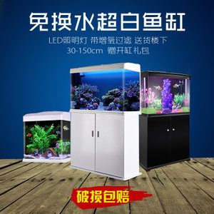 超白缸魚缸多少錢：如何選擇合適的超白缸魚缸 魚缸百科 第2張