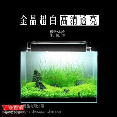 家用觀賞魚缸哪個品牌的好些：如何選擇高品質(zhì)的家用觀賞魚缸