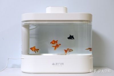 超白小魚缸哪個品牌好用又實惠：超白小魚缸品牌排行榜森森水族箱入選十大超白魚缸產(chǎn)品排行榜