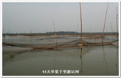 家里能放三個魚缸嗎：家庭裝修過程中魚缸擺放的風水學(xué)