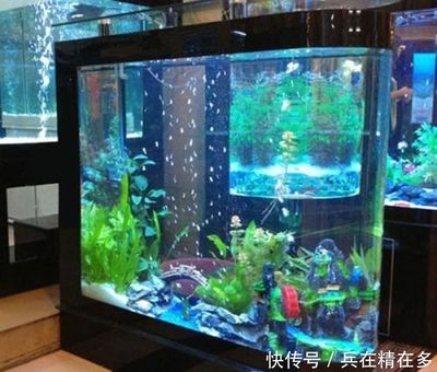 家庭魚缸擺放位置對(duì)著門可以嗎：家庭魚缸擺放位置 魚缸風(fēng)水 第2張