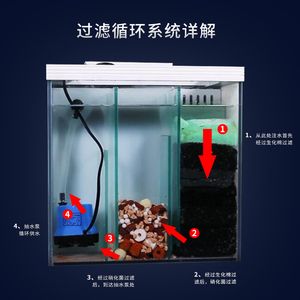 家用海水魚缸：海水與淡水魚缸在飼養(yǎng)方法和水質(zhì)管理上有顯著的不同