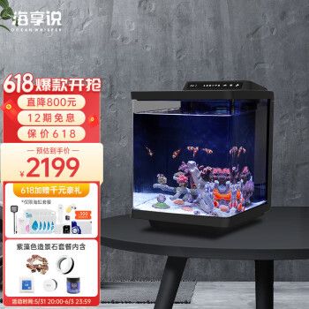 家用海水魚缸：海水與淡水魚缸在飼養(yǎng)方法和水質(zhì)管理上有顯著的不同