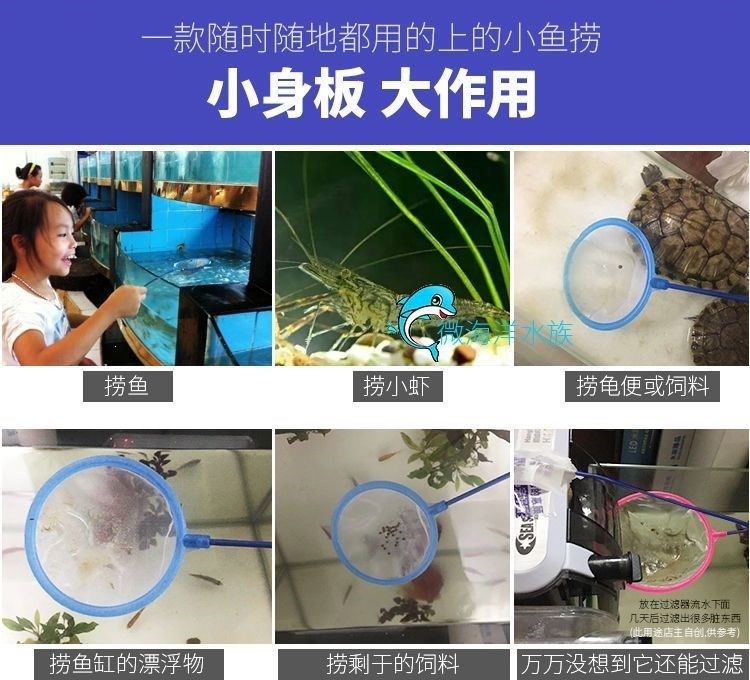 家用觀賞魚缸哪個(gè)品牌的好用：好的家用觀賞魚缸品牌有哪些 魚缸風(fēng)水 第3張