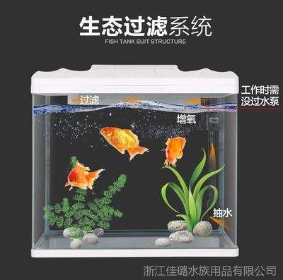 大魚缸怎么抽水出來的：大魚缸抽水可以通過多種方式進行 魚缸百科 第1張