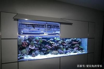 家庭魚缸的尺寸一般要多大：家庭魚缸尺寸選擇應(yīng)綜合考慮養(yǎng)魚種類、擺放位置和個人喜好等 魚缸風(fēng)水 第1張