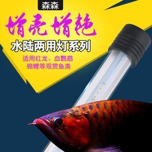 家用led燈可以用魚缸上嗎