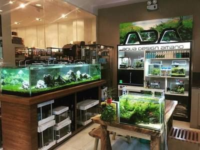 崇州哪里有賣魚缸的店：崇州市內(nèi)幾個與魚缸相關(guān)的商家和地點