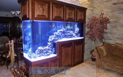 大型海洋魚缸定制廠家：大型海洋魚缸定制服務的廠家