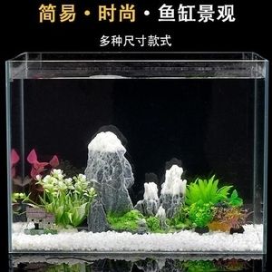 家庭魚缸景觀布置：家庭魚缸景觀布置技巧 魚缸風(fēng)水 第3張