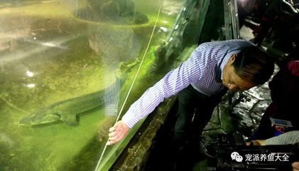 家里魚缸裂了是怎么回事啊：家里魚缸裂了可能由多種原因造成的，魚缸破裂可能由多種因素造成 魚缸風(fēng)水 第2張