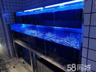 定做海鮮池魚缸多少錢一個(gè)：定做海鮮池魚缸價(jià)格因素而異消費(fèi)者應(yīng)該注意以下幾點(diǎn) 魚缸百科 第3張