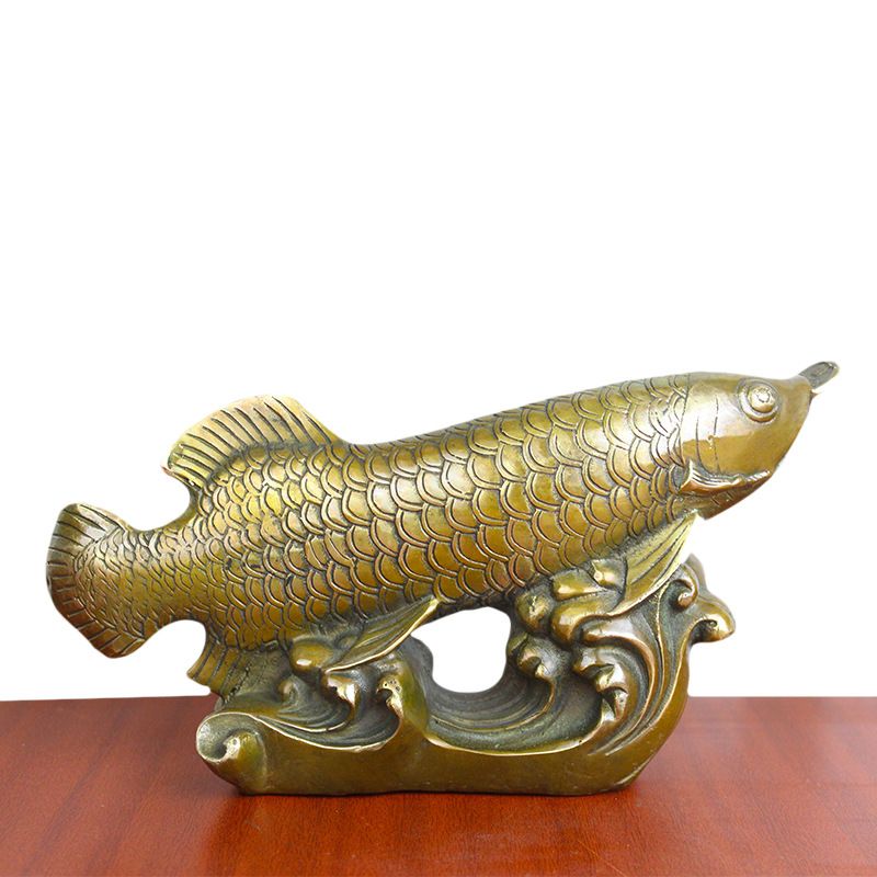 古銅金龍魚(yú)：古銅金龍魚(yú)是一種美麗的硬仆骨舌魚(yú)也被稱為亞洲龍魚(yú)