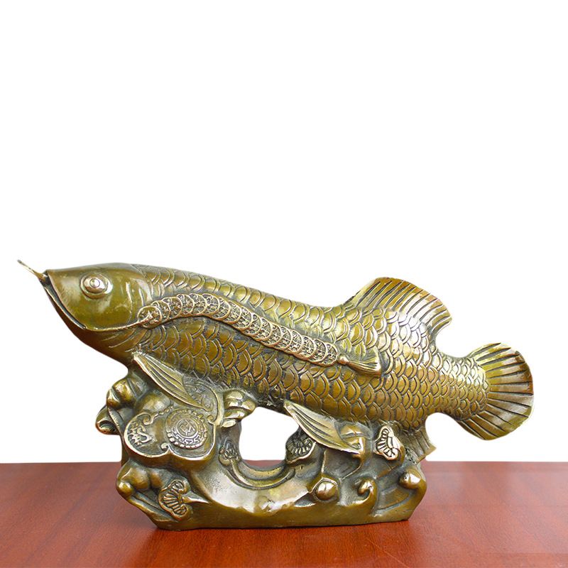 古銅金龍魚(yú)：古銅金龍魚(yú)是一種美麗的硬仆骨舌魚(yú)也被稱為亞洲龍魚(yú)