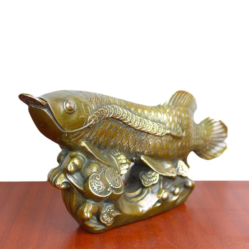 古銅金龍魚(yú)：古銅金龍魚(yú)是一種美麗的硬仆骨舌魚(yú)也被稱為亞洲龍魚(yú)