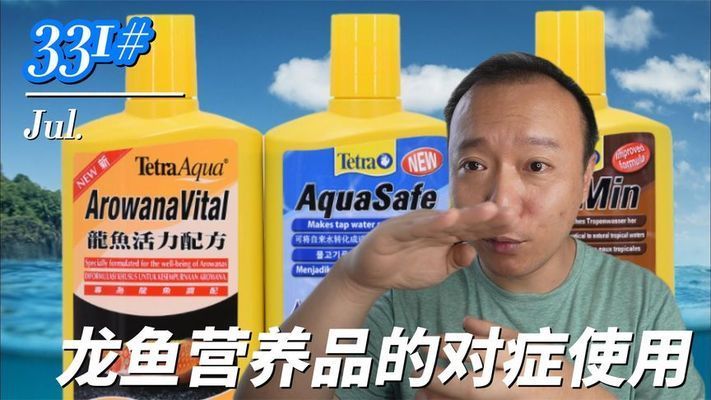 薩德斯塔龍魚怎么樣繁殖：薩德斯塔龍魚怎么樣繁殖薩德斯塔龍魚的繁殖方法 龍魚百科 第2張