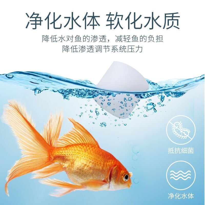 徹底清洗魚缸后要放鹽嗎視頻教學：徹底清洗魚缸后是否需要放鹽？ 魚缸百科 第2張