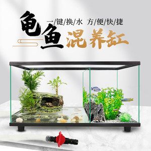 創(chuàng)意造景魚缸：創(chuàng)意造景魚缸是一種結(jié)合了藝術(shù)和科技的裝飾品 魚缸百科 第4張