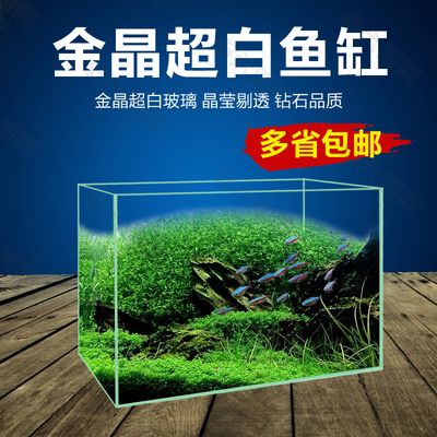 超白玻璃魚缸好不好看呀：玻璃家族的水晶王子——超白玻璃魚缸 魚缸百科 第2張