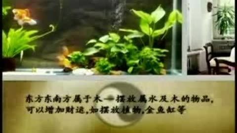 家中金魚缸的擺放風(fēng)水位置：家中金魚缸擺放風(fēng)水位置 魚缸風(fēng)水 第3張