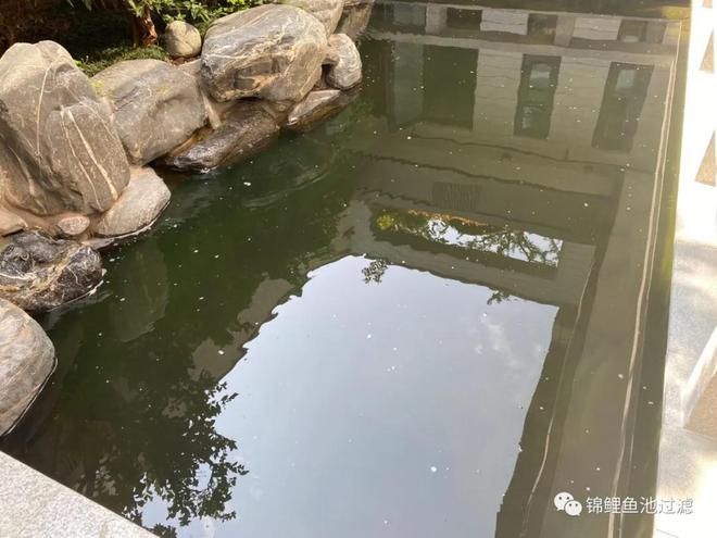 家庭魚池水渾濁怎么辦：家庭魚池水渾濁怎么處理 魚缸風水 第1張