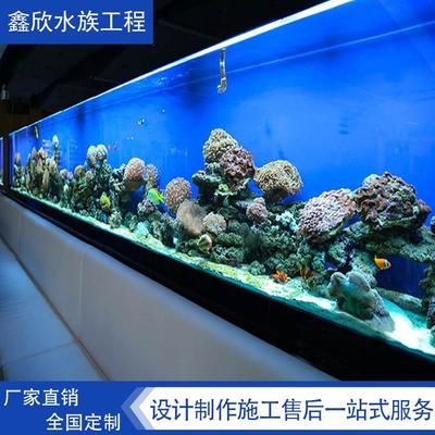 大型觀賞魚缸施工方案：大型觀賞魚缸施工方案包括以下幾個部分