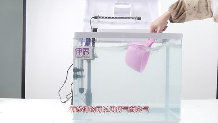 打氣筒給魚缸加氧有用嗎：打氣筒是否能有效為魚缸增加氧氣