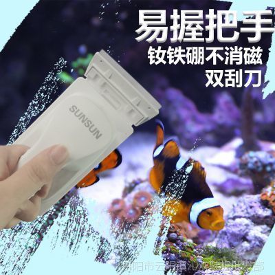 磁力魚缸刷什么牌子的好：磁力魚缸刷哪個牌子好 魚缸百科 第1張