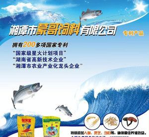 家魚魚料：幾種簡單的家庭魚料制作方法