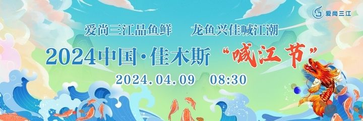 2024龍魚(yú)比賽：2024年的龍魚(yú)比賽 龍魚(yú)百科 第3張