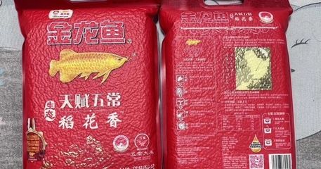 金龍魚價格查詢表：金龍魚價格一般多少？