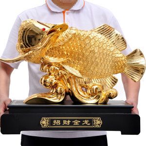 40公分長的金龍魚多少錢：金龍魚價格大揭秘,貴價金龍魚怎么飼養(yǎng)呢? 龍魚百科 第3張