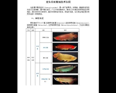 龍魚怎么人工繁殖的：人工繁殖龍魚的注意事項(xiàng)