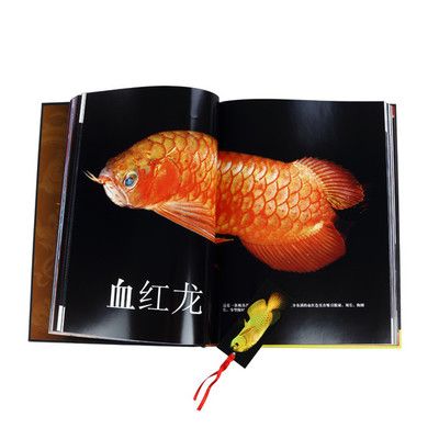 龍魚(yú)專刊書(shū)籍：有關(guān)龍魚(yú)?？瘯?shū)籍的一些信息