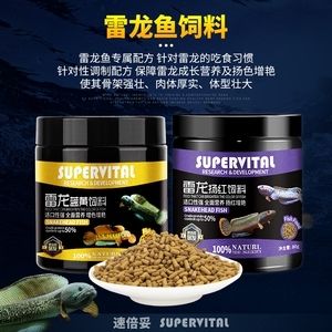 眼鏡蛇雷龍魚吃什么飼料：黃金眼鏡蛇雷龍魚吃什么飼料