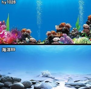 金龍魚缸造景：金龍魚缸造景的注意事項(xiàng) 龍魚百科 第3張