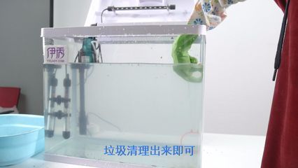 龍魚魚缸怎么清理魚糞便：在清理龍魚魚缸的魚糞便時，可以采取以下幾種方法