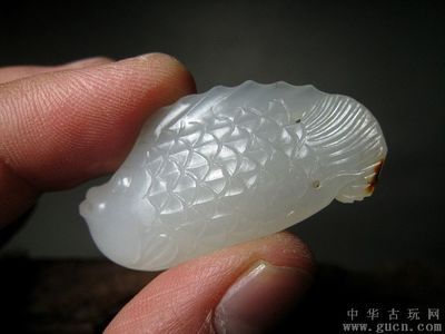 白玉金龍魚風(fēng)水作用與禁忌圖：白玉金龍魚風(fēng)水中金龍魚的風(fēng)水作用與風(fēng)水作用 龍魚百科 第1張