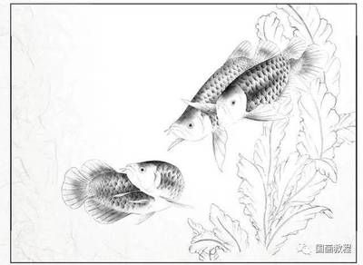 金龍魚(yú)畫(huà)：金龍魚(yú)畫(huà)是一種具有深厚文化底蘊(yùn)和藝術(shù)表現(xiàn)力的藝術(shù)形式