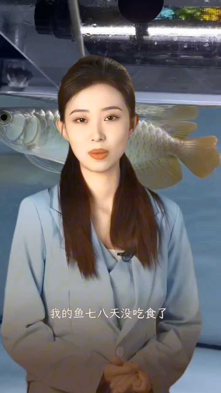 魚越折騰越不吃食：魚越折騰越不吃食,_阿銀評論：不錯(cuò) 觀賞魚論壇