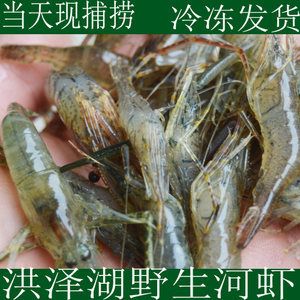 龍魚喂小河蝦要去殼嗎：喂養(yǎng)龍魚小河蝦時(shí)，是否要去殼存在一定的爭(zhēng)議和討論 龍魚百科 第3張