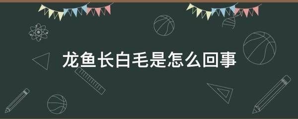 龍魚長白毛怎么辦：如何處理龍魚長白毛的一些方法