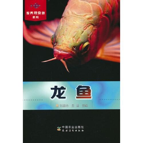 觀賞魚 龍魚 小說：關(guān)于觀賞魚龍魚的小說，以下是一些相關(guān)的推薦： 龍魚百科 第2張