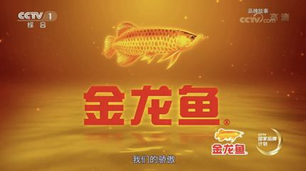 關(guān)于金龍魚的故事有哪些書：有聲書:金龍魚背后的糧油帝國