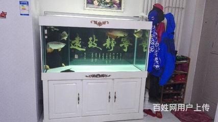 龍魚從魚缸里跳出來會(huì)死嗎：龍魚從魚缸里跳出來會(huì)導(dǎo)致死亡嗎？ 龍魚百科 第2張