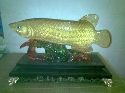 二手金龍魚(yú)買賣交易：二手金龍魚(yú)買賣交易時(shí)應(yīng)謹(jǐn)慎選擇信譽(yù)良好的交易平臺(tái)