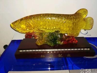 二手金龍魚(yú)買賣交易：二手金龍魚(yú)買賣交易時(shí)應(yīng)謹(jǐn)慎選擇信譽(yù)良好的交易平臺(tái)