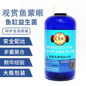 龍魚眼睛白膜內(nèi)出血怎么辦用什么藥：龍魚眼睛白膜內(nèi)出血怎么辦 龍魚百科 第1張