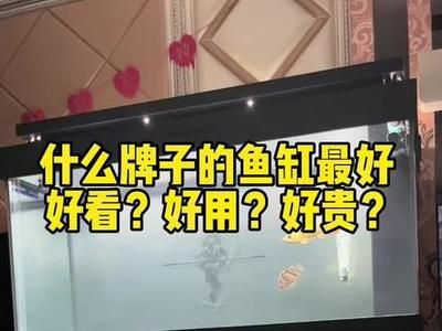 博士龍魚缸什么價位：博士龍魚缸價格查詢 龍魚百科