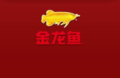 金龍魚吉祥話是什么：金龍魚吉祥話 龍魚百科 第3張